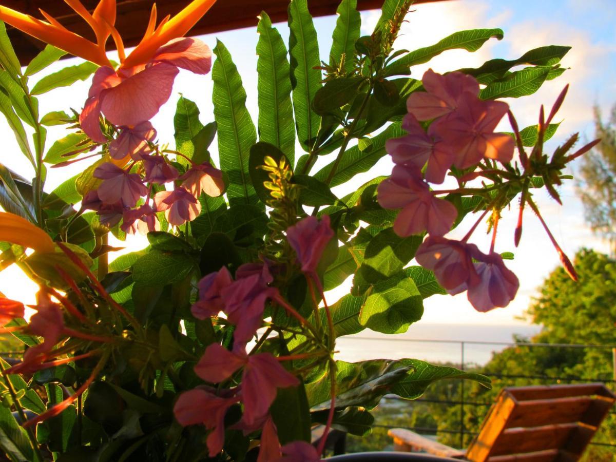 Bounty Lodge Tahiti 阿鲁埃 外观 照片