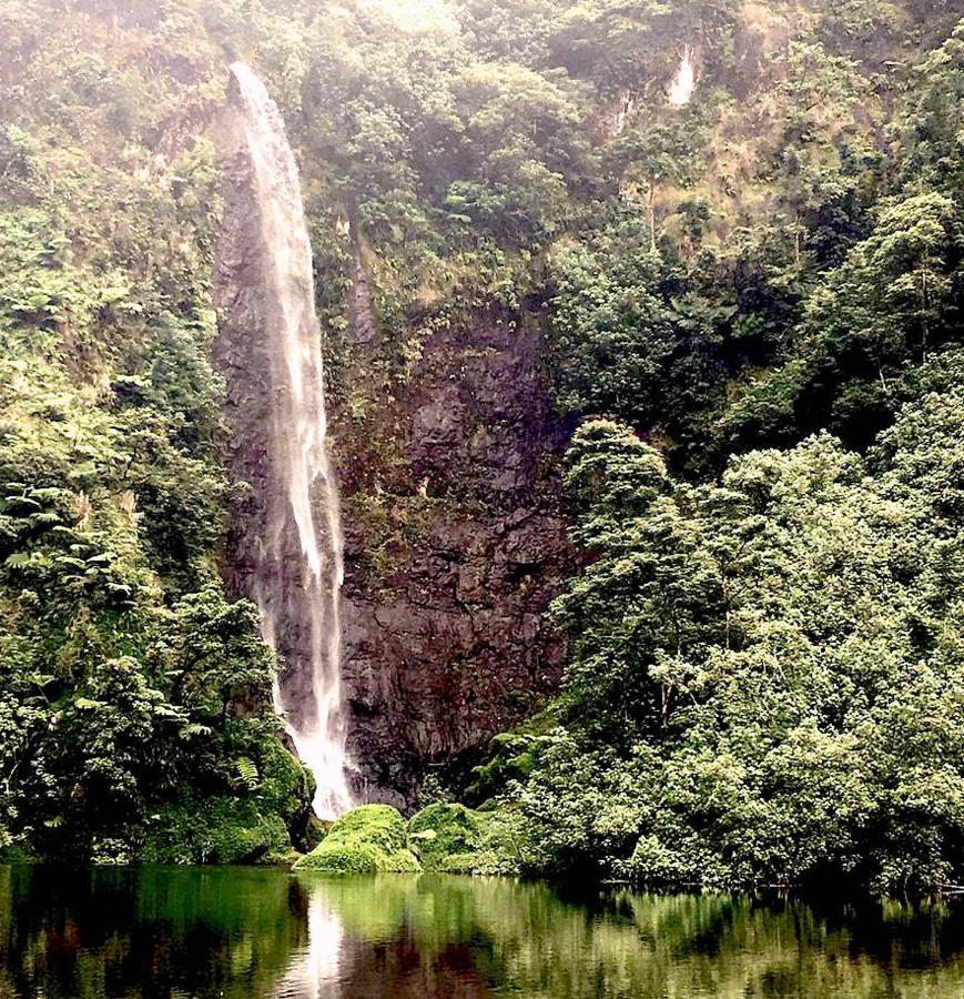 Bounty Lodge Tahiti 阿鲁埃 外观 照片