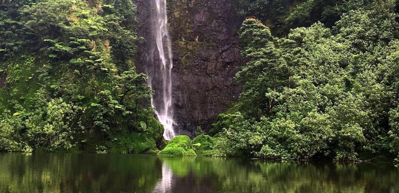 Bounty Lodge Tahiti 阿鲁埃 外观 照片